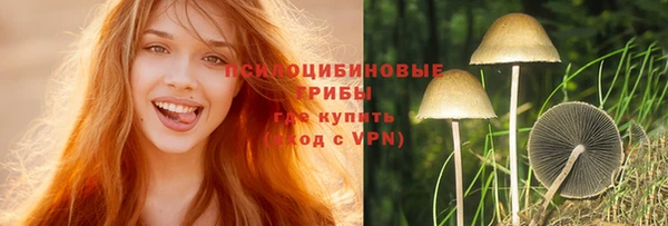 ешки Алапаевск