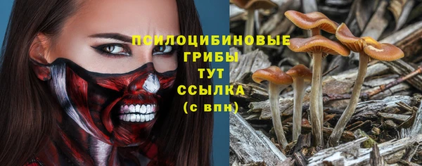 Альфа ПВП Карпинск