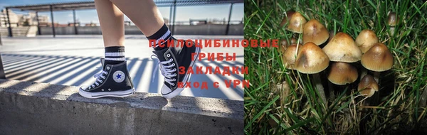 Альфа ПВП Карпинск
