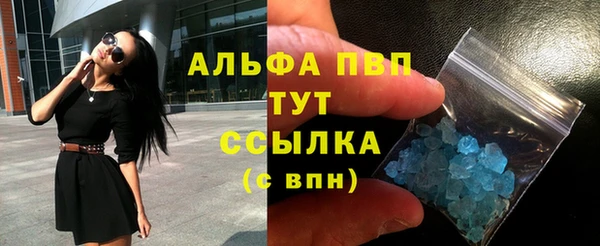 прущие грибы Бердск