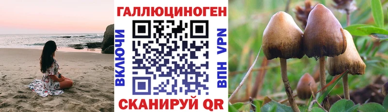 Купить закладки  Морозовск  Псилоцибиновые грибы MAGIC MUSHROOMS 
